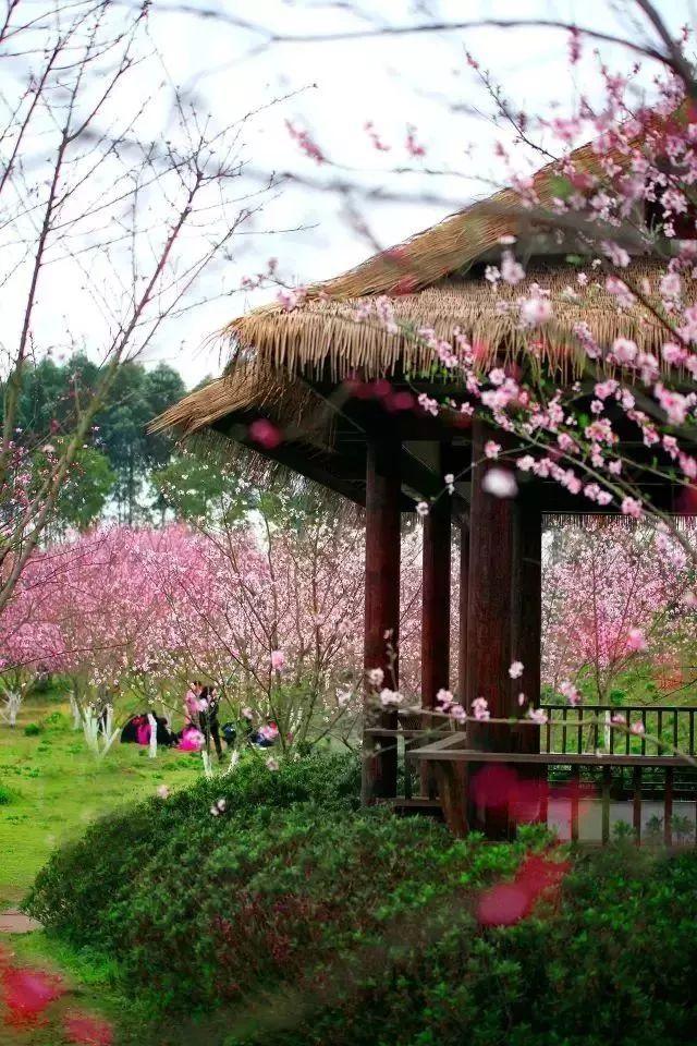 逃离陈旧房3